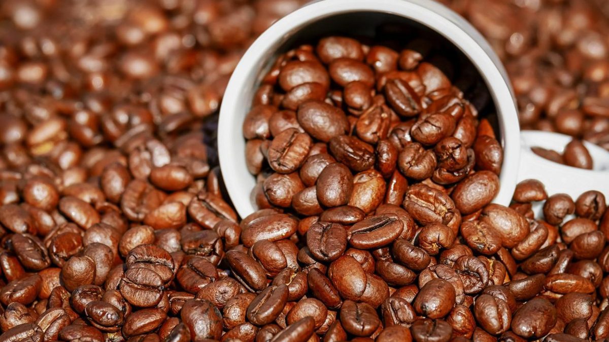 Machine à café en grains : 3 conseils pour bien la choisir